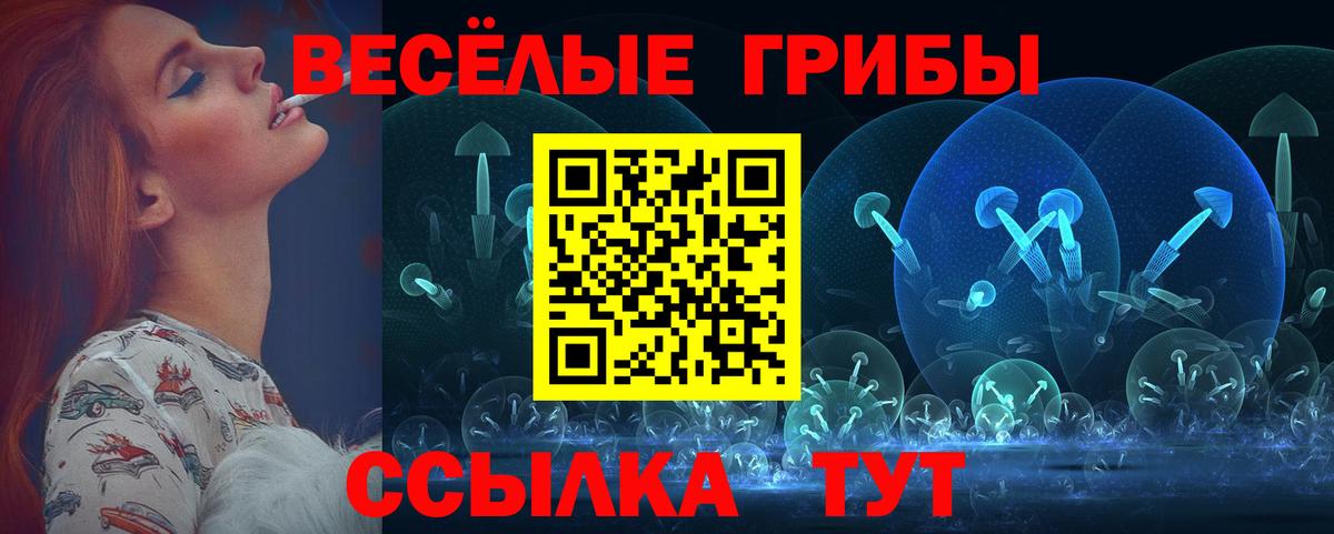 Галлюциногенные грибы MAGIC MUSHROOMS  Вход с VPN  Советская Гавань 